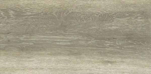 Forest Birch 30x60cm - Слика 3