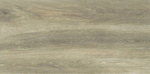 Forest Birch 30x60cm - Слика 2