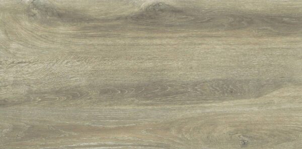 Forest Birch 30x60cm - Слика 5