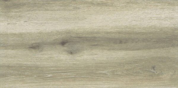 Forest Birch 30x60cm - Слика 4